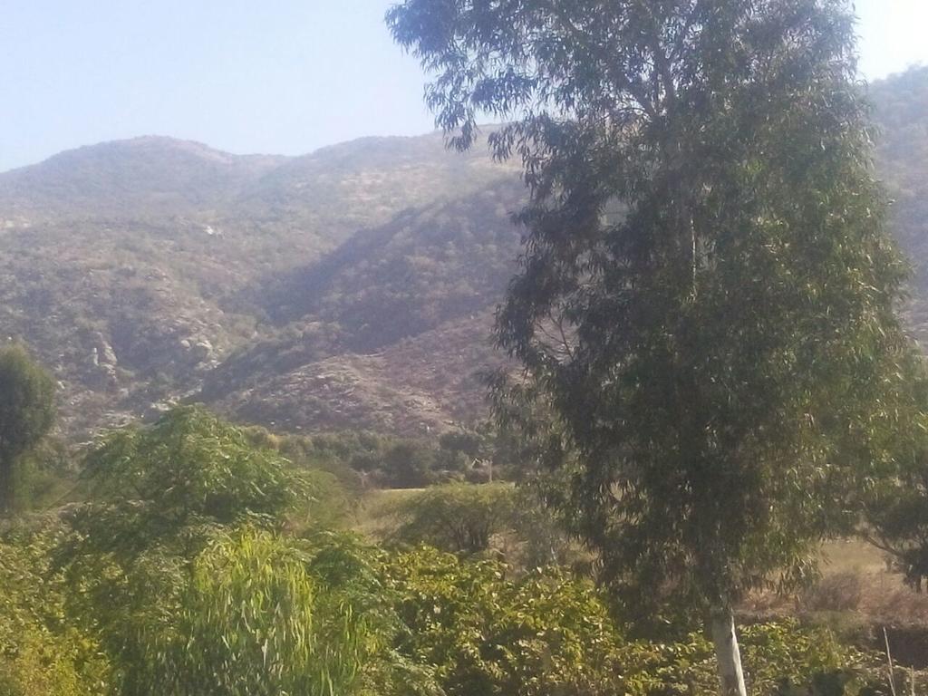 Rishi Valley Resort Farmstay Pushkar Exterior photo